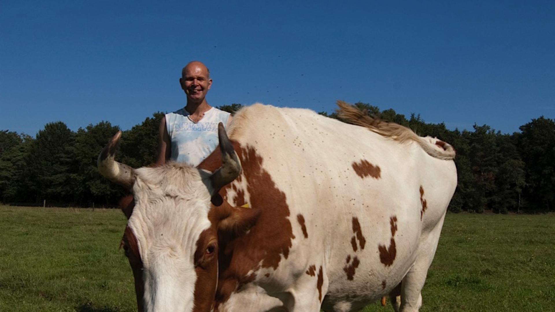 Boer Willem Beekman GroenLinks Lochem politiek